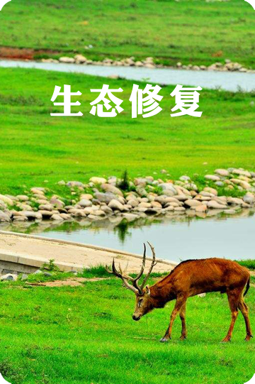 生态修复系统