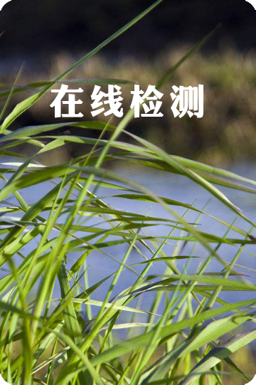 在线监测