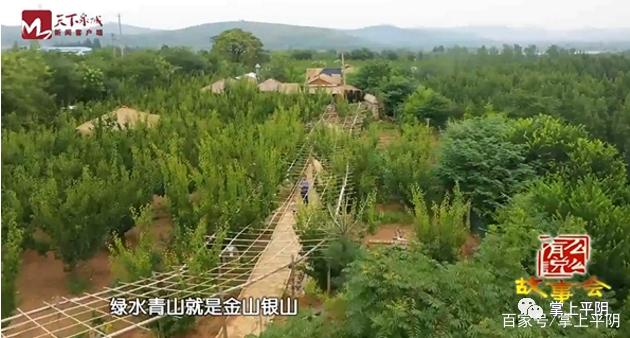 绿水青山就是金山银山
